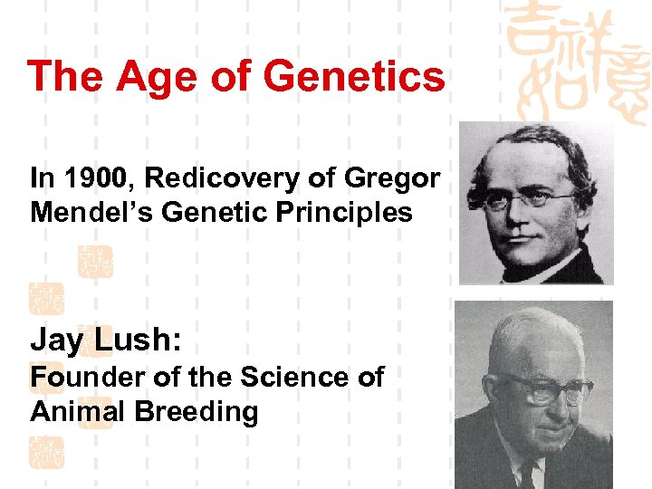 The Age of Genetics In 1900, Redicovery of Gregor Mendel’s Genetic Principles Jay Lush: