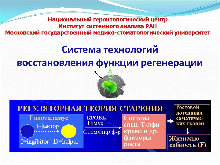 Институт системной биологии. Институт системного анализа РАН. Функции геронтологического центра. Геронтологические центры содержат. Цели геронтологических центров?.