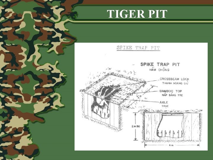 TIGER PIT 