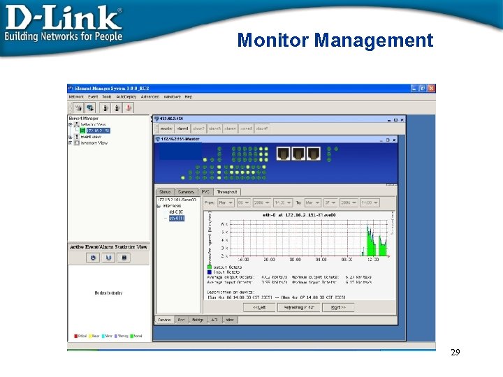 Monitor Management 29 