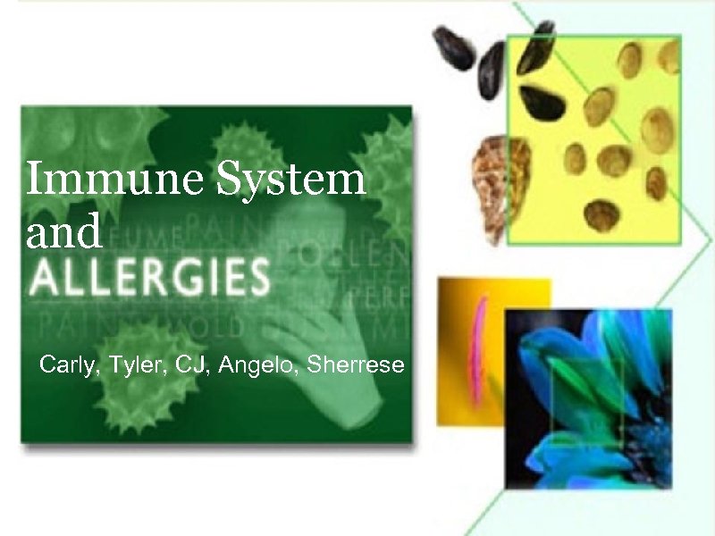 Immune System and Carly, Tyler, CJ, Angelo, Sherrese 