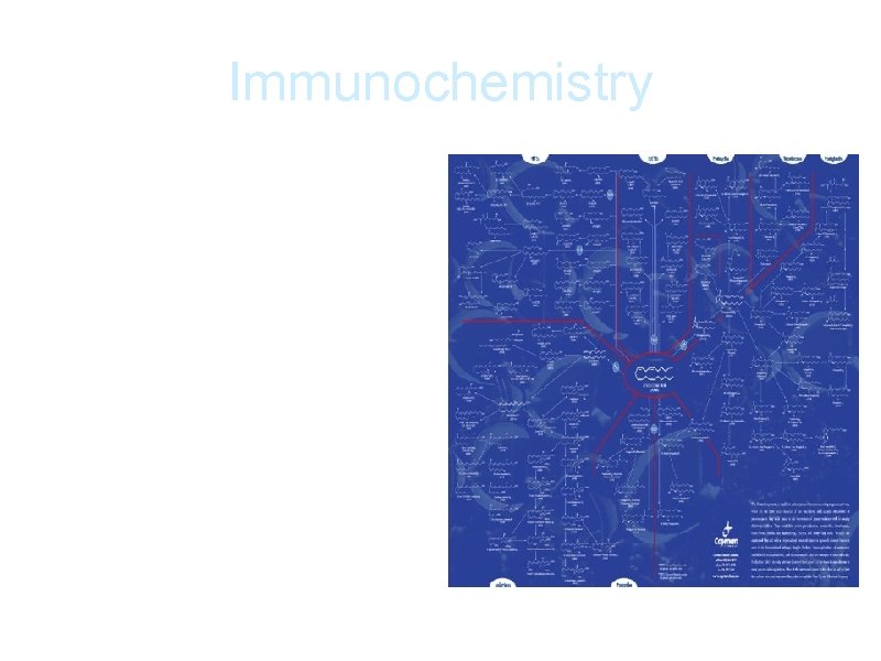 Immunochemistry a. Arachidonic Acid Cascade--- CHEMICAL PROCESS CREATES BAD CHEMCIALS CAUSES CHANGE IN BODY-