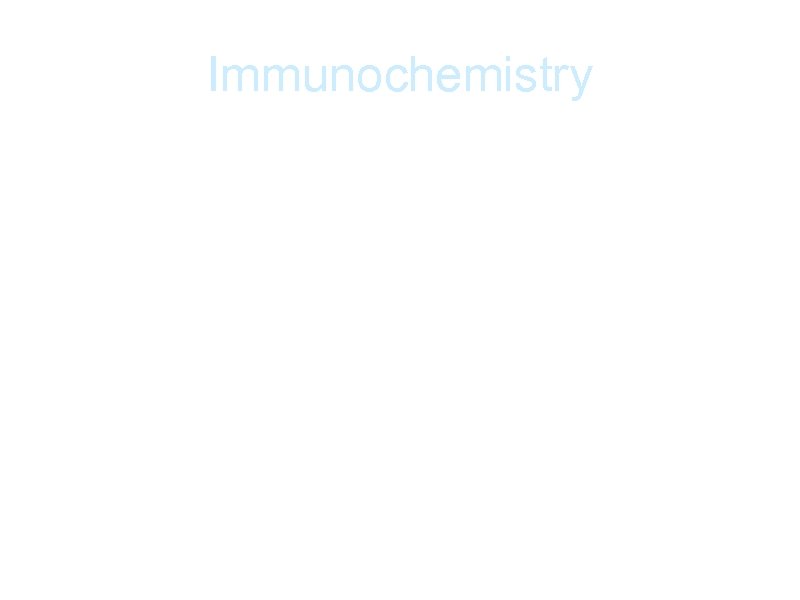 Immunochemistry a. Leukotrienes-BAD CHEMICAL CAUSED ARACHIDONIC ACID CASCADE Def: one out of a group