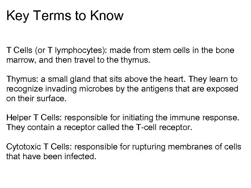 Key Terms to Know T Cells (or T lymphocytes): made from stem cells in