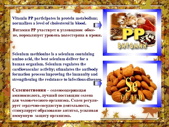 Vitamin РР participates in protein metabolism; normalizes a level of cholesterol in blood. Витамин