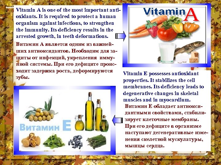 Vitamin А is one of the most important antioxidants. It is required to protect