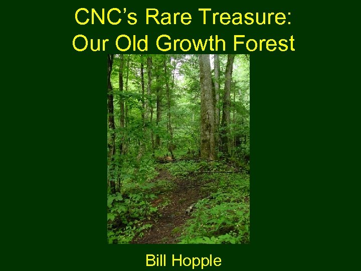 CNC’s Rare Treasure: Our Old Growth Forest Bill Hopple 