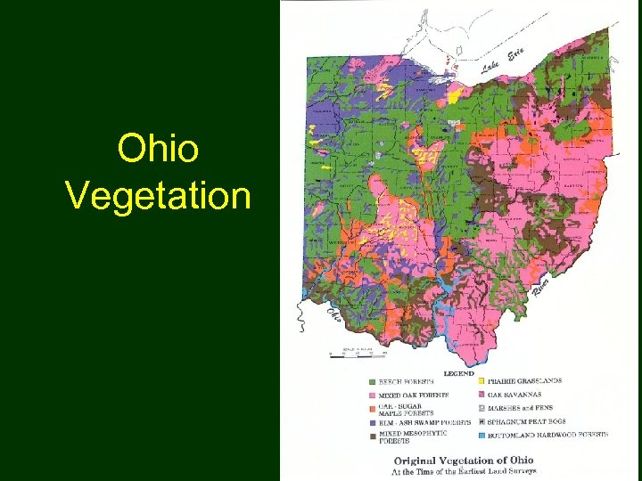 Ohio Vegetation 