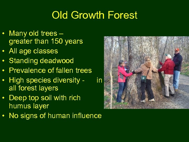 Old Growth Forest • Many old trees – greater than 150 years • All