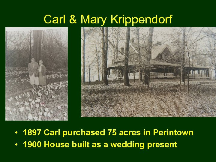 Carl & Mary Krippendorf • 1897 Carl purchased 75 acres in Perintown • 1900