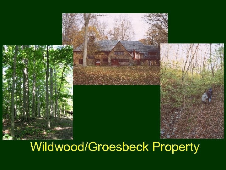 Wildwood/Groesbeck Property 