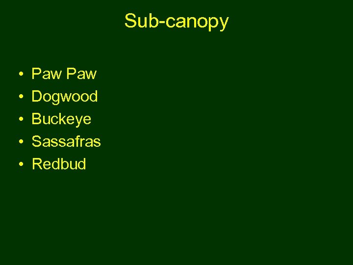 Sub-canopy • • • Paw Dogwood Buckeye Sassafras Redbud 