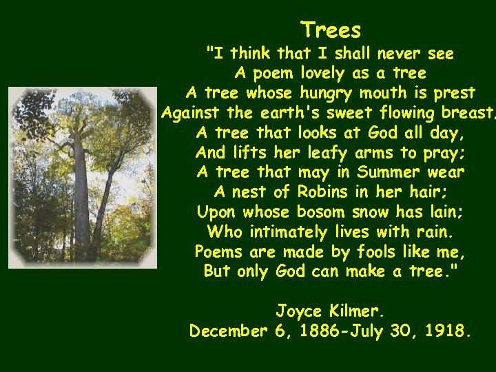 Trees "I think that I shall never see A poem lovely as a tree