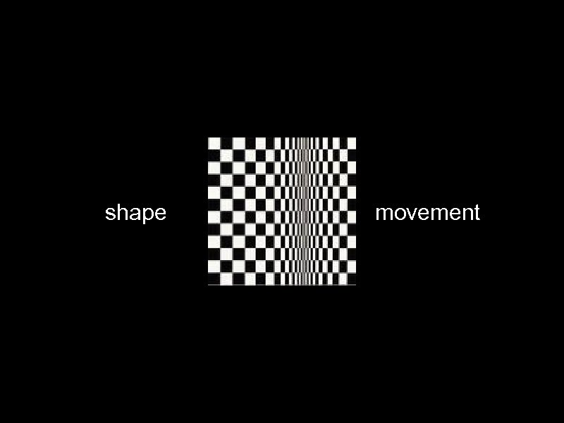 shape movement 
