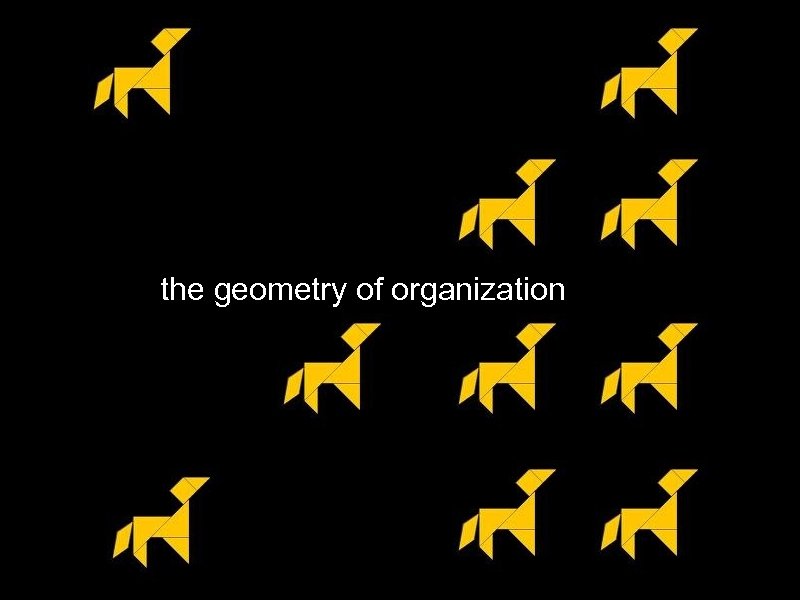 the geometry of organization 