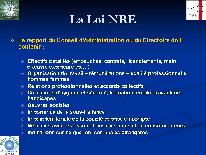 La Loi NRE v Le rapport du Conseil d'Administration ou du Directoire doit contenir