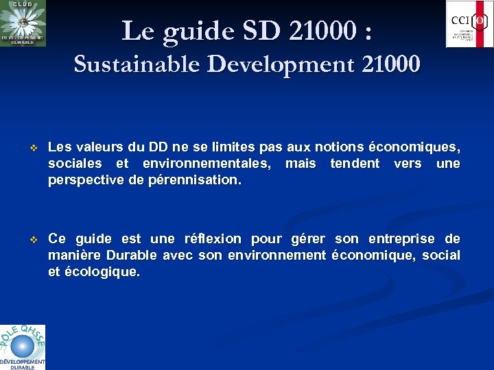 Le guide SD 21000 : Sustainable Development 21000 v Les valeurs du DD ne