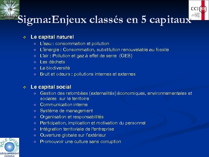 Sigma: Enjeux classés en 5 capitaux v Le capital naturel v v v v