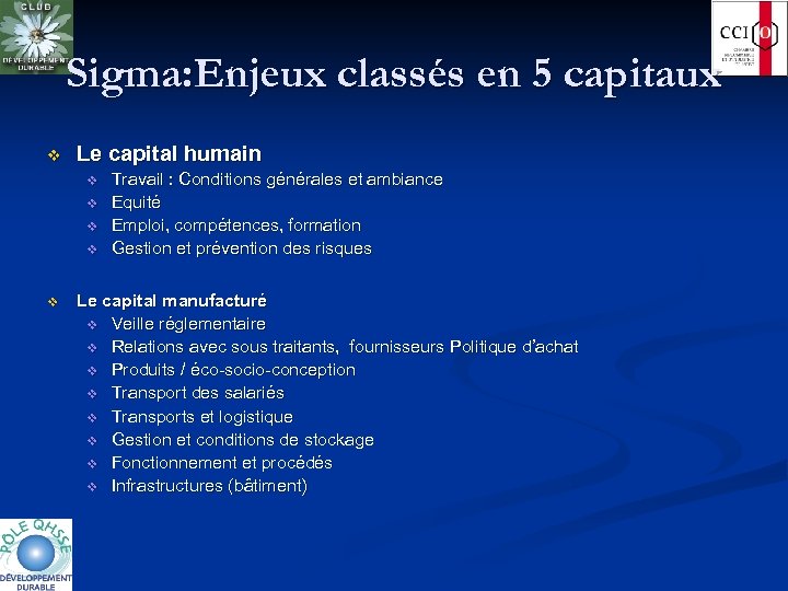 Sigma: Enjeux classés en 5 capitaux v Le capital humain v v v Travail