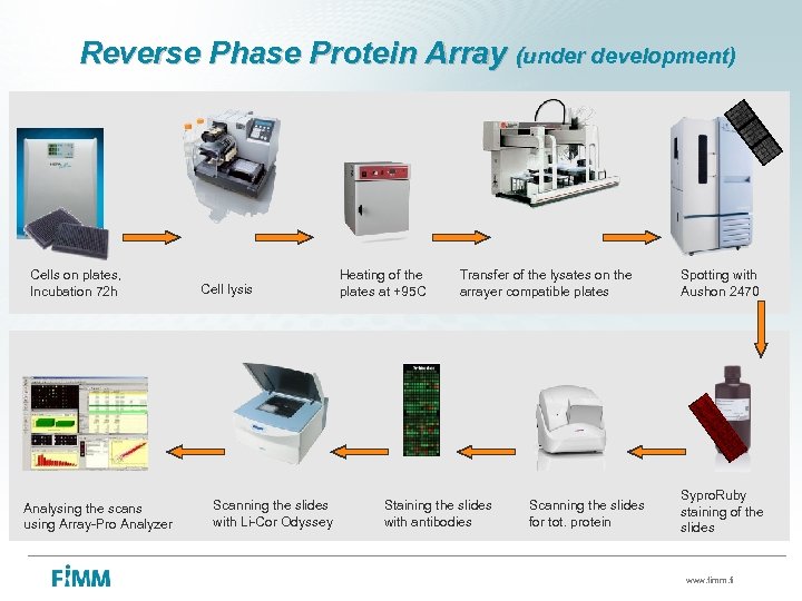 Reverse Phase Protein Array (under development) Cells on plates, Incubation 72 h Analysing the