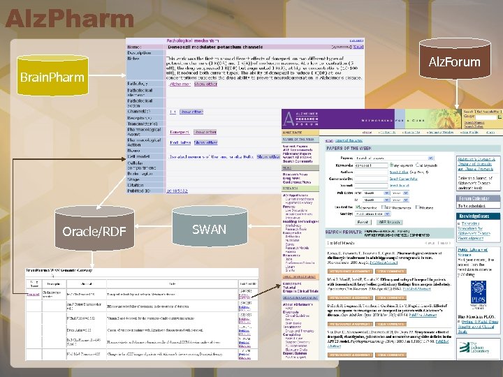 Alz. Pharm Alz. Forum Brain. Pharm Oracle/RDF SWAN 