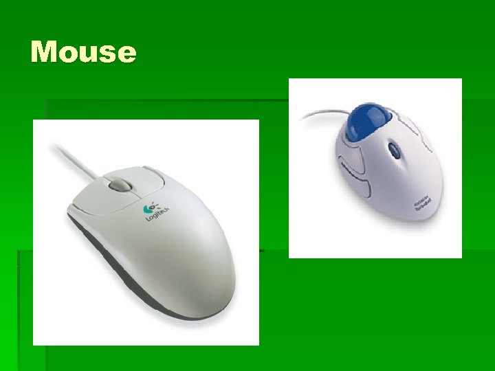 Mouse 