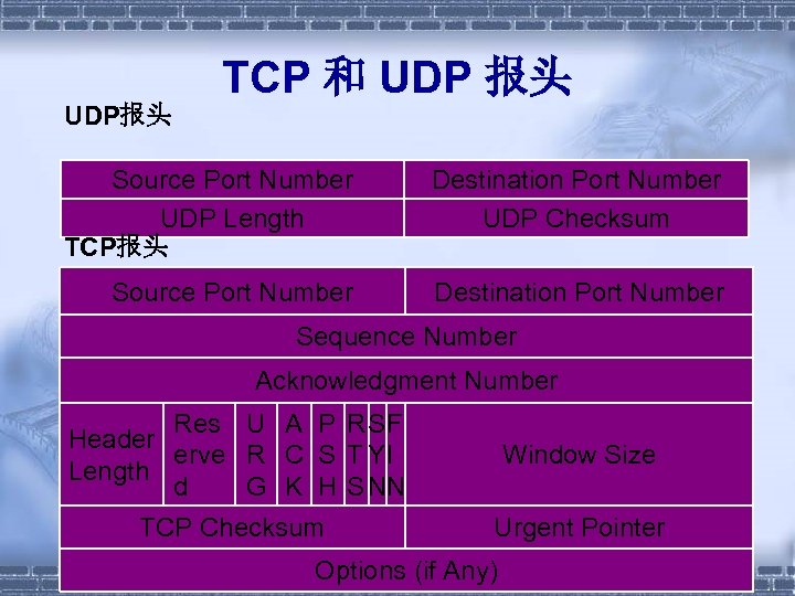 UDP报头 TCP 和 UDP 报头 Source Port Number UDP Length TCP报头 Destination Port Number