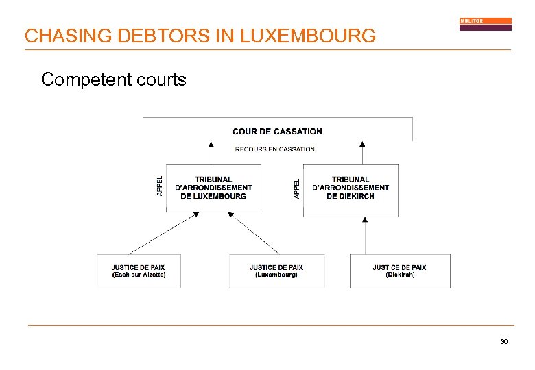 CHASING DEBTORS IN LUXEMBOURG Competent courts 30 