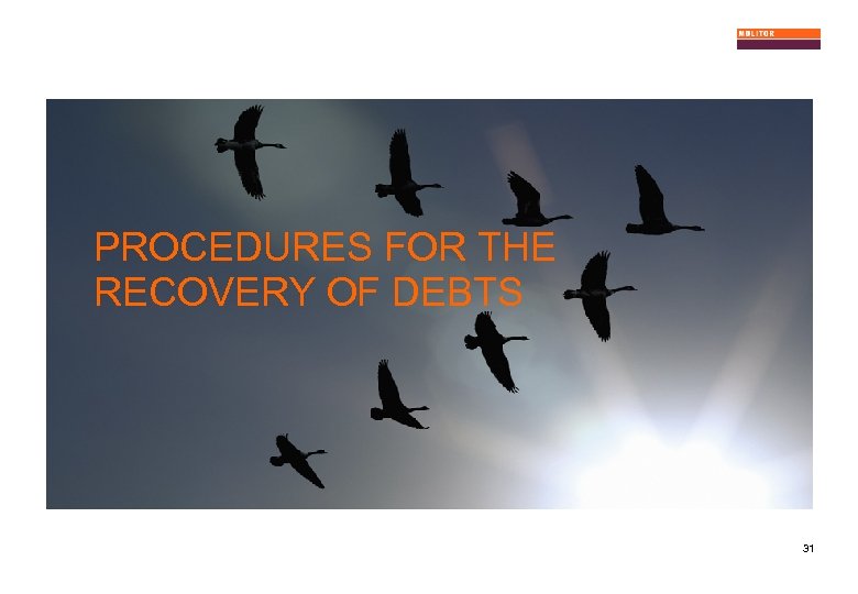 PROCEDURES FOR THE RECOVERY OF DEBTS 31 