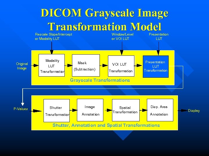 DICOM Grayscale Image Transformation Model Rescale Slope/Intercept or Modality LUT Original Image Modality LUT