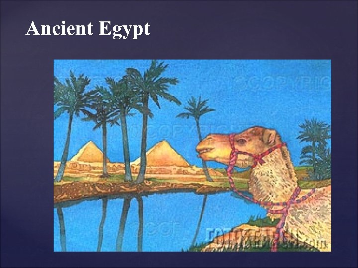 Ancient Egypt { 