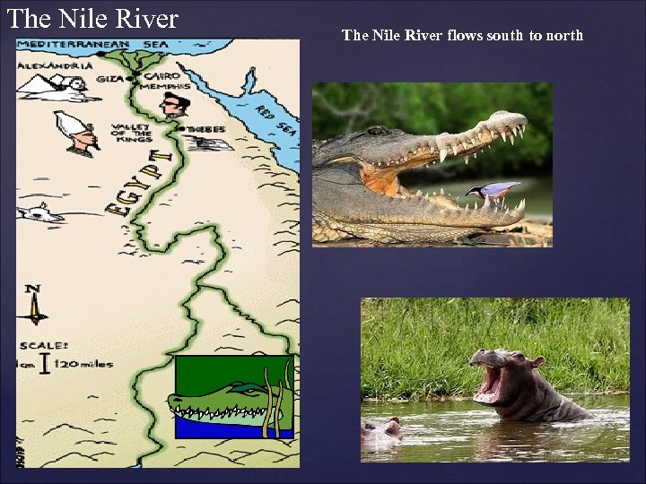 The Nile River flows south to north 