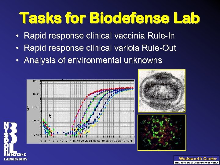 Tasks for Biodefense Lab • Rapid response clinical vaccinia Rule-In • Rapid response clinical