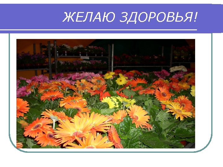 ЖЕЛАЮ ЗДОРОВЬЯ! 