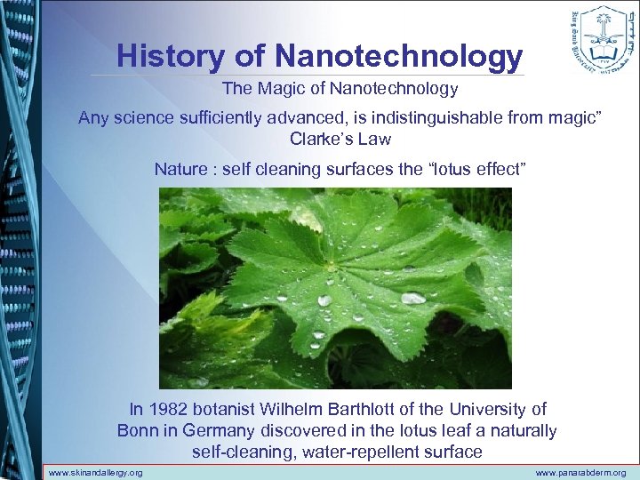 History of Nanotechnology The Magic of Nanotechnology Any science sufficiently advanced, is indistinguishable from