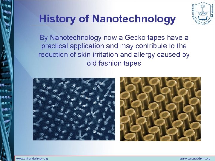History of Nanotechnology By Nanotechnology now a Gecko tapes have a practical application and