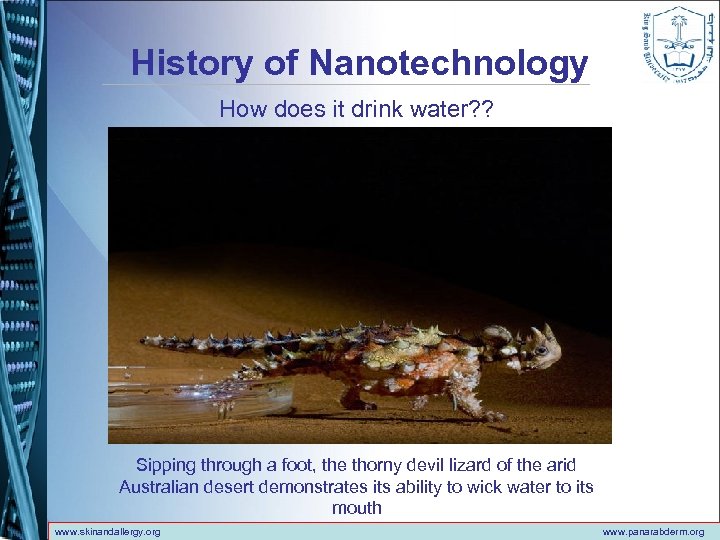 History of Nanotechnology How does it drink water? ? Sipping through a foot, the