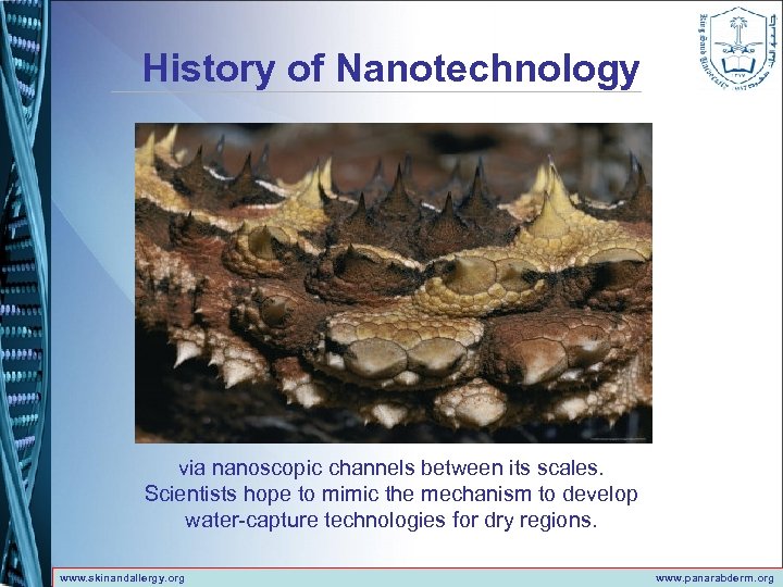 History of Nanotechnology via nanoscopic channels between its scales. Scientists hope to mimic the