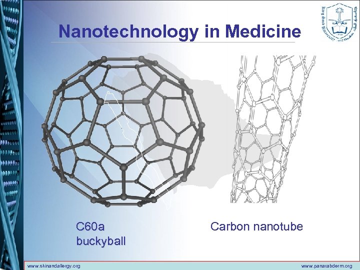 Nanotechnology in Medicine C 60 a buckyball www. skinandallergy. org Carbon nanotube www. panarabderm.