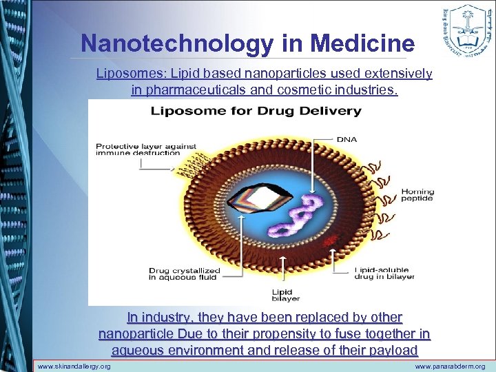 Nanotechnology in Medicine Liposomes: Lipid based nanoparticles used extensively in pharmaceuticals and cosmetic industries.