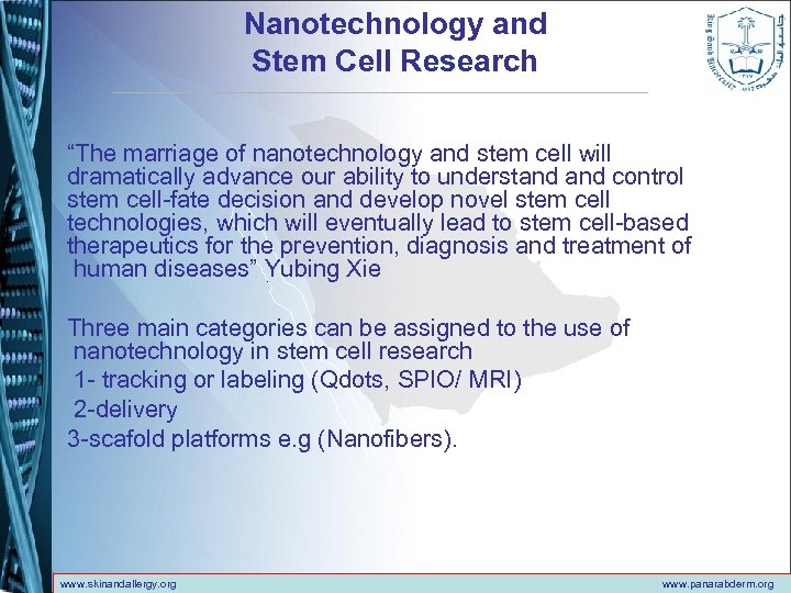 Nanotechnology and Stem Cell Research “The marriage of nanotechnology and stem cell will dramatically