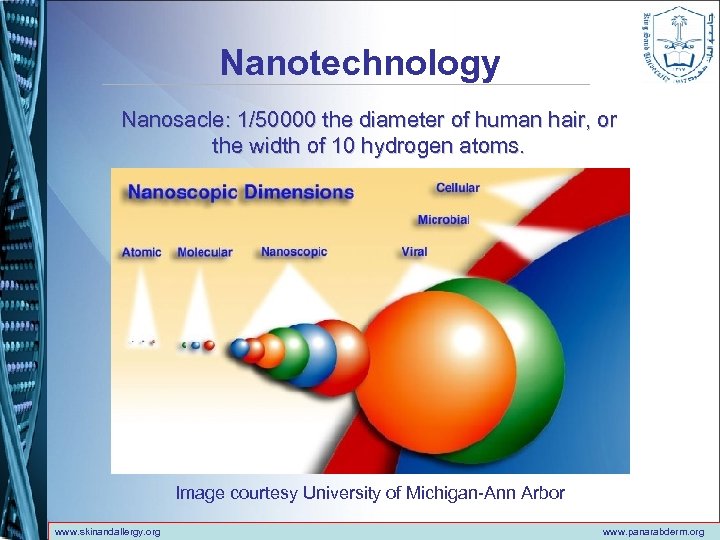 Nanotechnology Nanosacle: 1/50000 the diameter of human hair, or the width of 10 hydrogen
