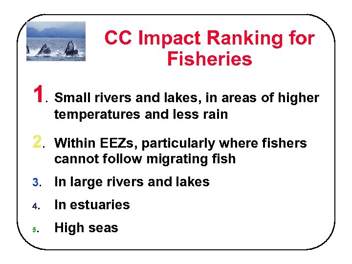 CC Impact Ranking for Fisheries 1. Small rivers and lakes, in areas of higher