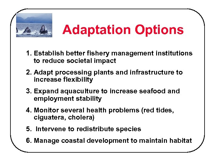 Adaptation Options 1. Establish better fishery management institutions to reduce societal impact 2. Adapt
