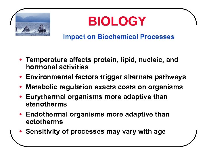BIOLOGY Impact on Biochemical Processes • Temperature affects protein, lipid, nucleic, and hormonal activities