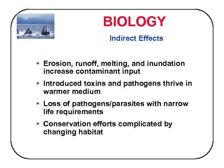 BIOLOGY Indirect Effects • Erosion, runoff, melting, and inundation increase contaminant input • Introduced