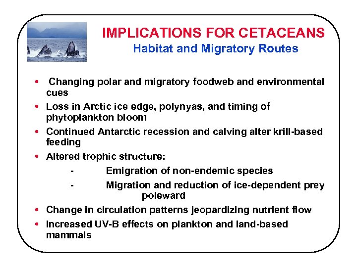 IMPLICATIONS FOR CETACEANS Habitat and Migratory Routes • • • Changing polar and migratory