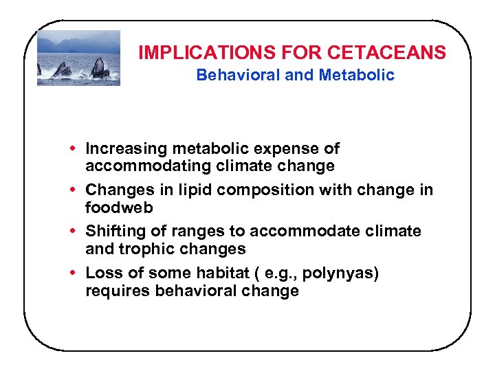 IMPLICATIONS FOR CETACEANS Behavioral and Metabolic • Increasing metabolic expense of accommodating climate change