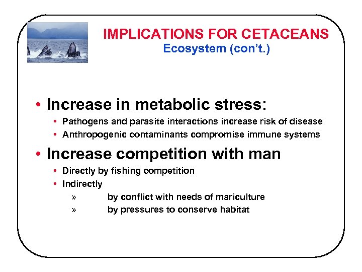 IMPLICATIONS FOR CETACEANS Ecosystem (con’t. ) • Increase in metabolic stress: • Pathogens and