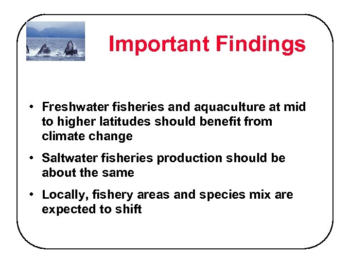 Important Findings • Freshwater fisheries and aquaculture at mid to higher latitudes should benefit